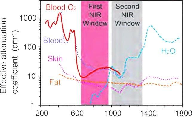 Does Adding More Wavelengths to a Red Light Therapy Device Make it Better?