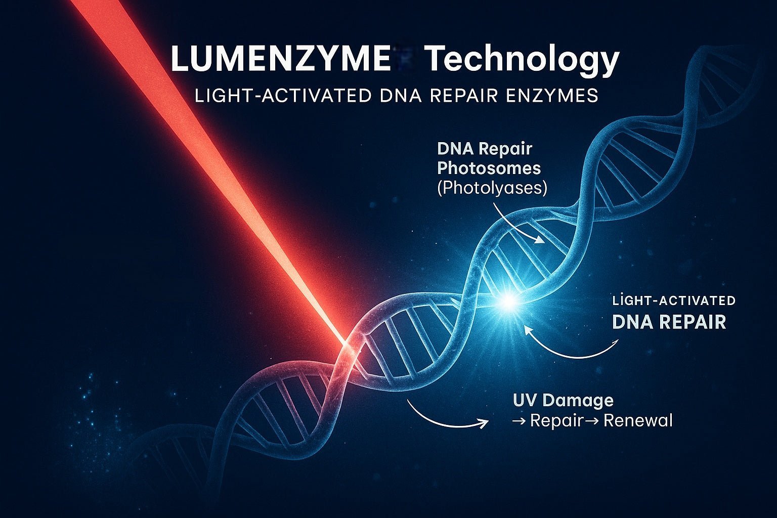 LUMENZYME™ Technology by Mito Red Light: Light-Activated DNA Repair for Healthier, Younger-Looking Skin