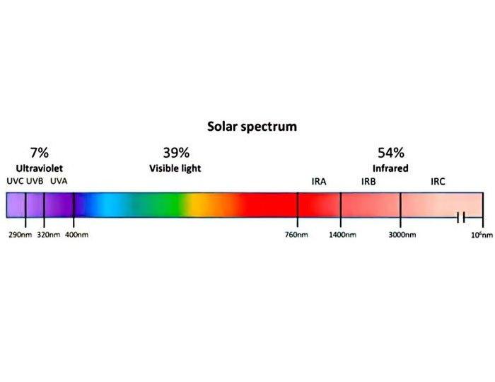 Medical School Professor Describes How Sunlight Affects Health - Mito Red Light