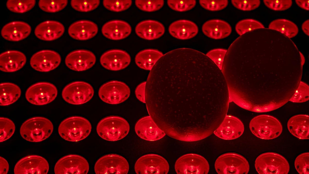 Fertility Red Red Light Therapy and Fertility: What the Research Actually Shows ...
