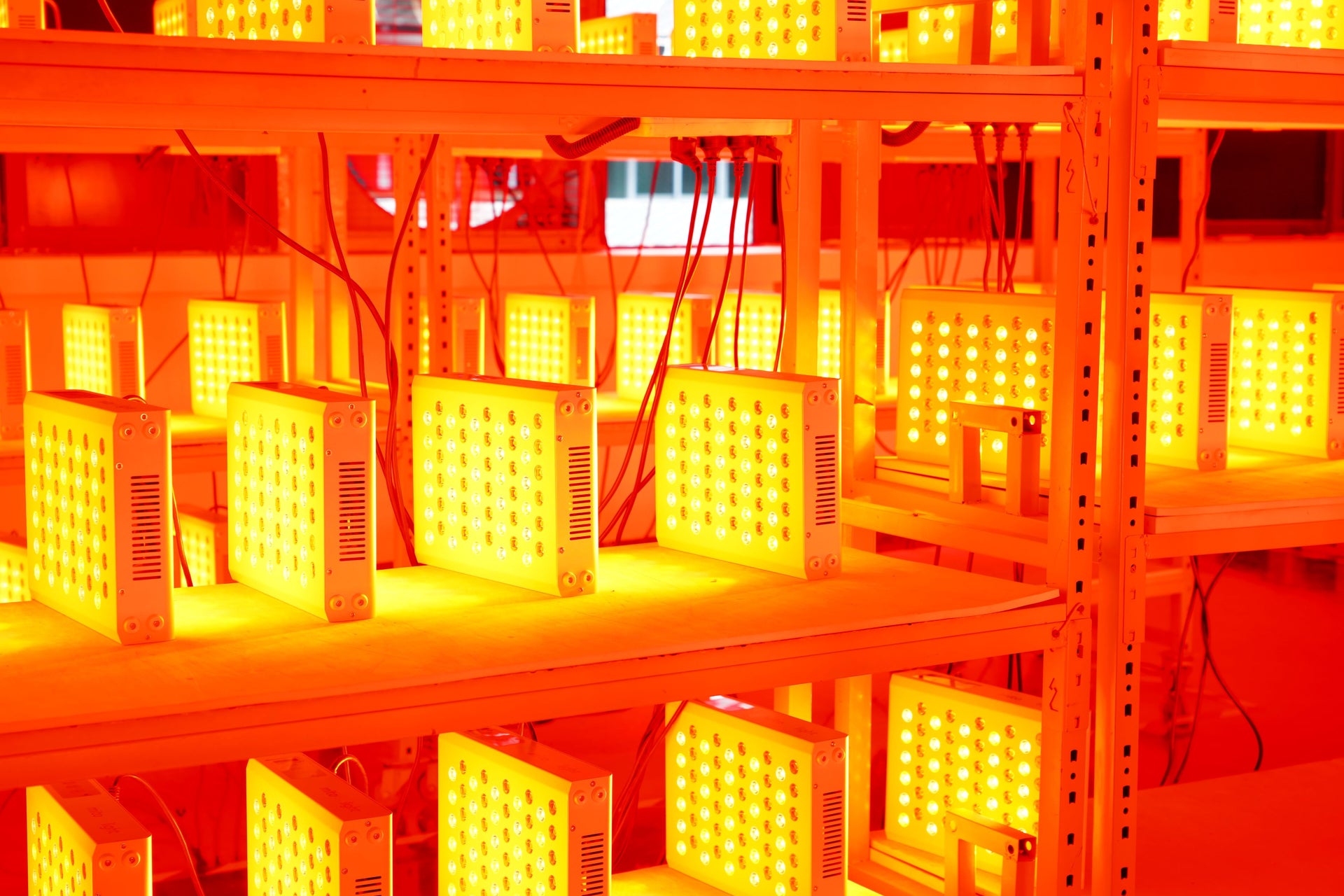 MitoPRO+ Series Mito Red Light Four Wavelength Red Light Therapy