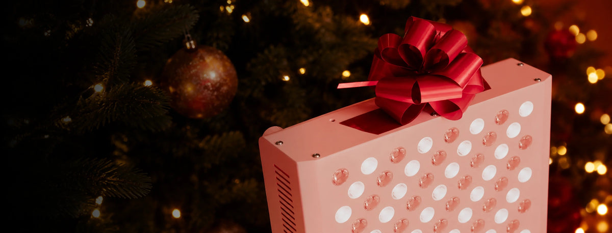Mito Red Light panel wrapped with a red holiday bow