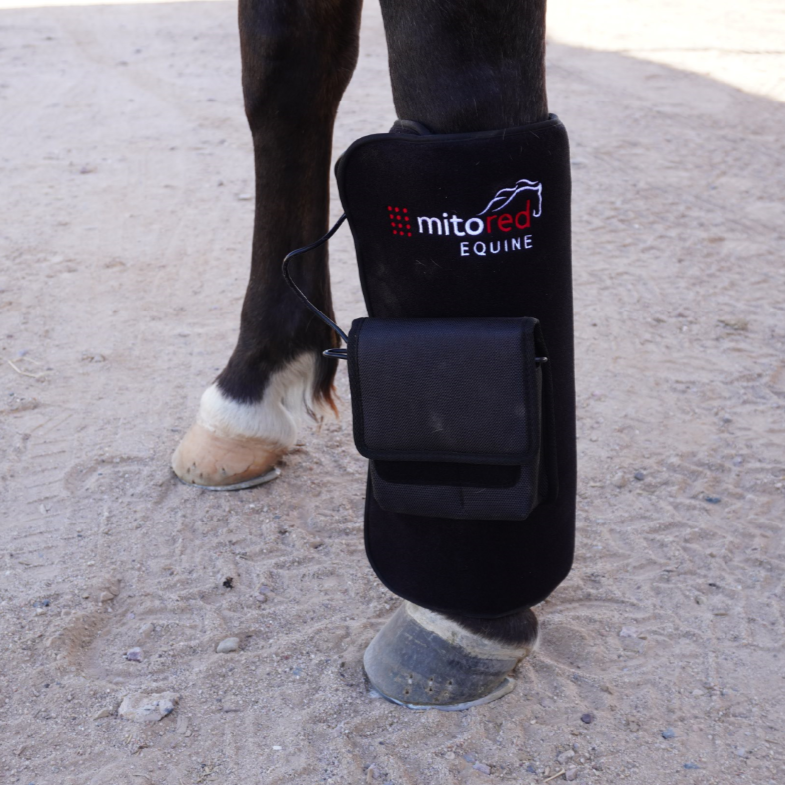 MitoEQUINE™ Tendon Pad