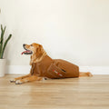 MitoPETS Red Light Therapy Coat, Large