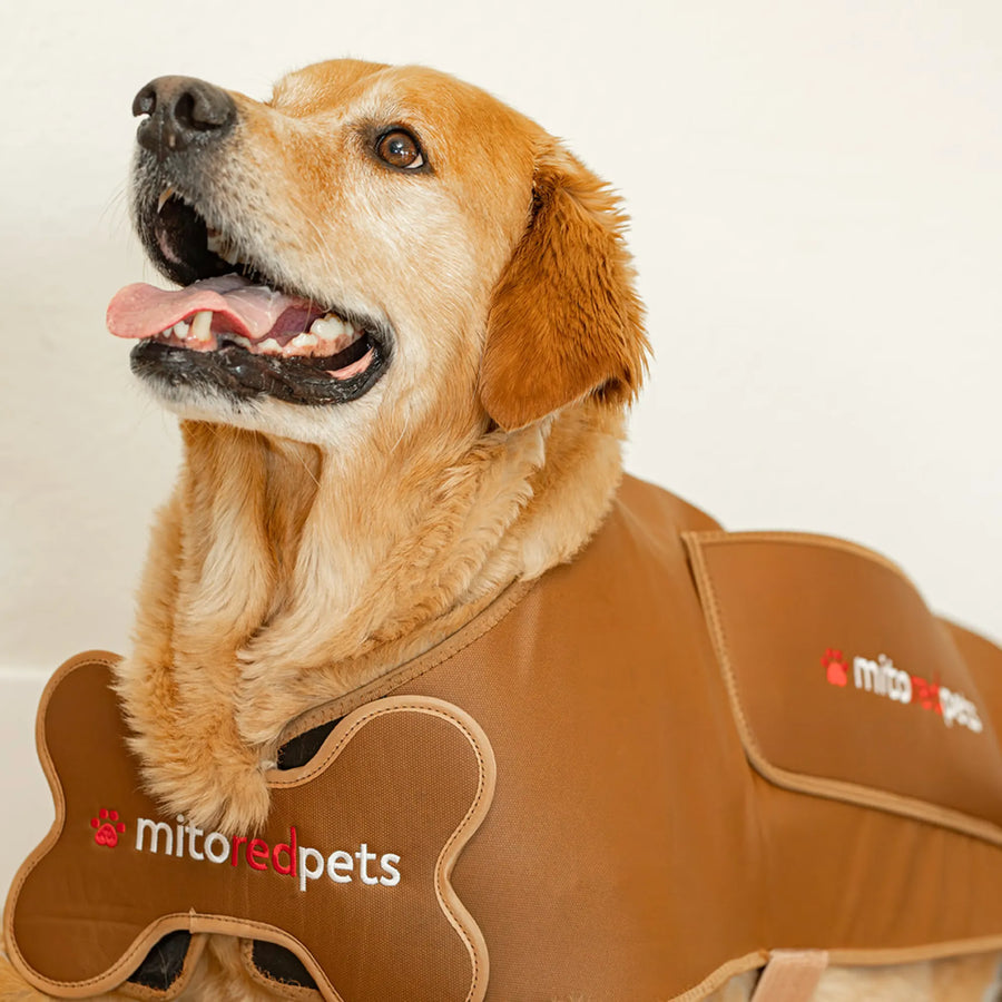 MitoPETS Red Light Therapy Coat, Large
