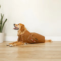 MitoPETS Red Light Therapy Coat, Large
