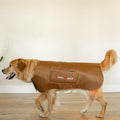 MitoPETS Red Light Therapy Coat, Large