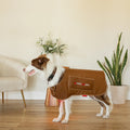 MitoPETS Red Light Therapy Coat, Medium