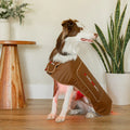 MitoPETS Red Light Therapy Coat, Medium