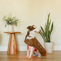 MitoPETS Red Light Therapy Coat, Medium