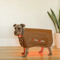 MitoPETS Red Light Therapy Coat, Small