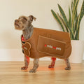 MitoPETS Red Light Therapy Coat, Small