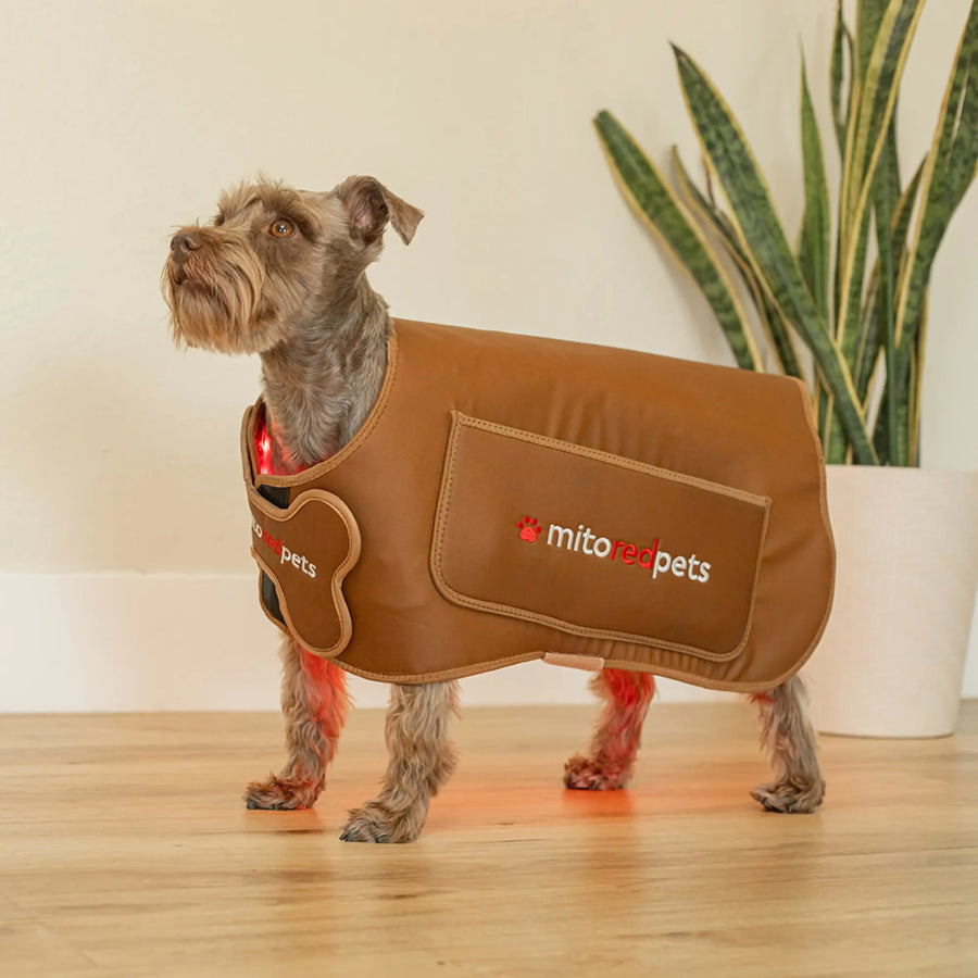 MitoPETS Red Light Therapy Coat, Small