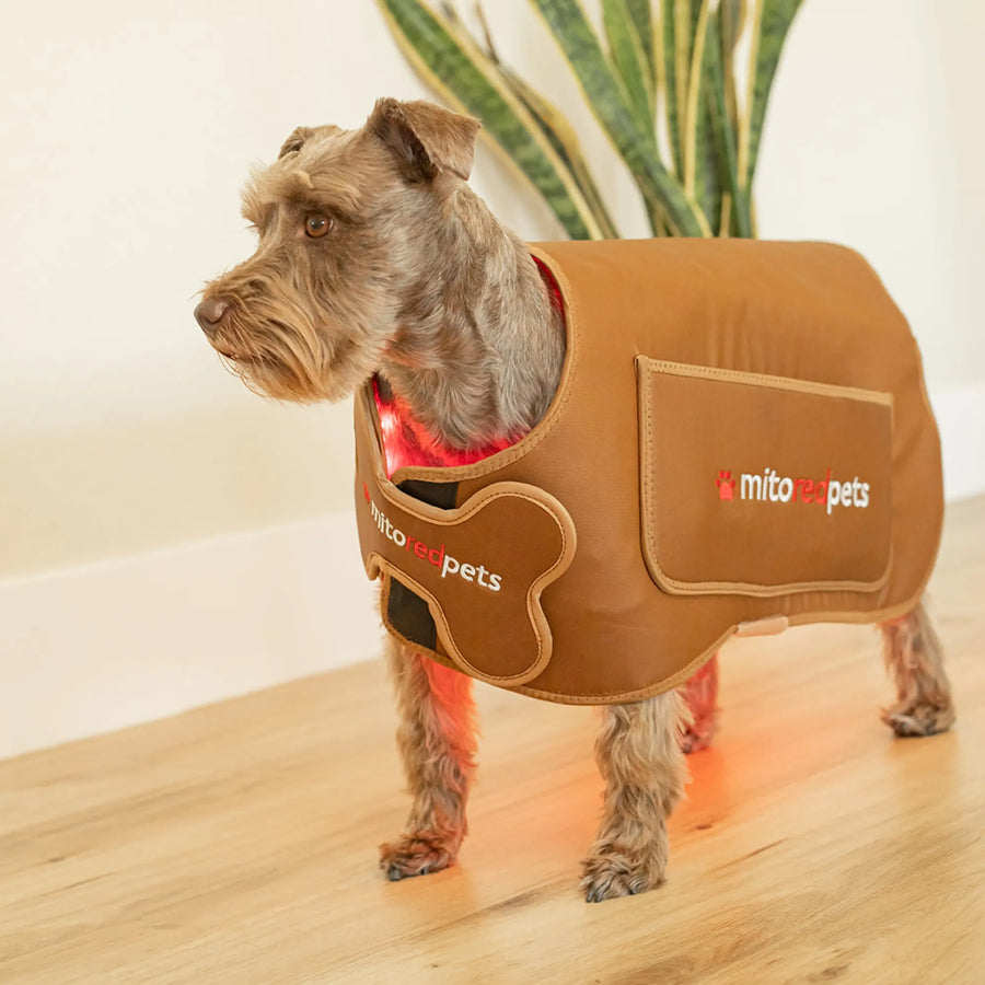 MitoPETS Red Light Therapy Coat, Small