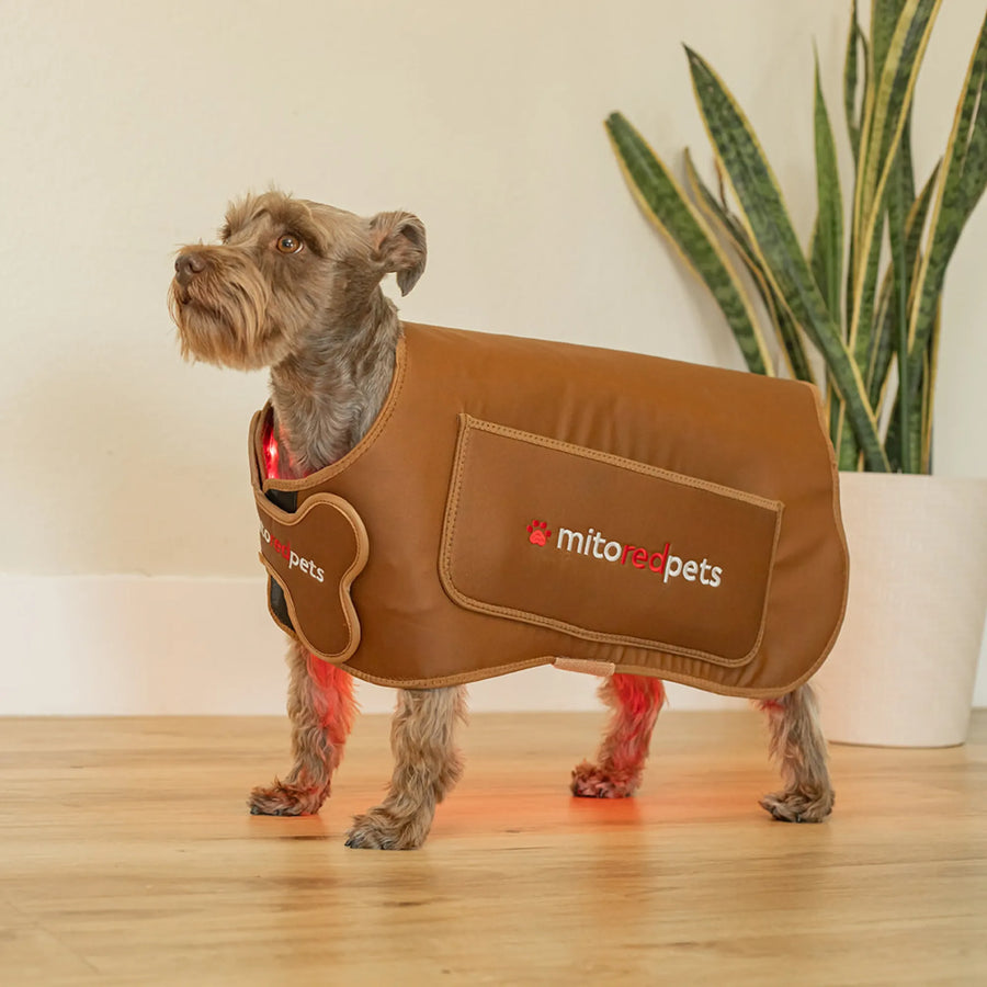 MitoPETS Red Light Therapy Coat, Small