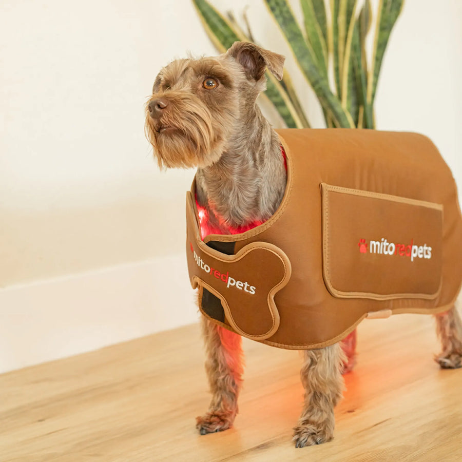 MitoPETS Red Light Therapy Coat, Small