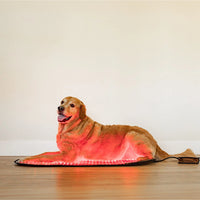 Mito Red Pets Pad, Large