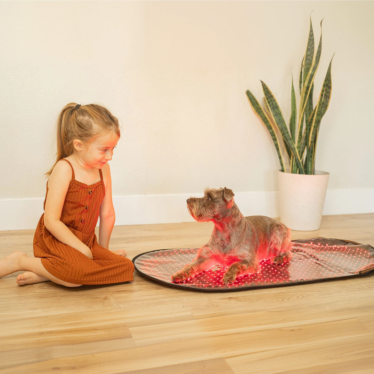 Large Red Light Therapy Pad | MitoPETS