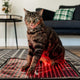 Small Pet Pad
