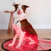 Mito Red Pets Pad, Large