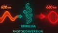 MitoAURA™: Red Light Therapy Enhancing Body Spray - BioPhotonic Skincare™